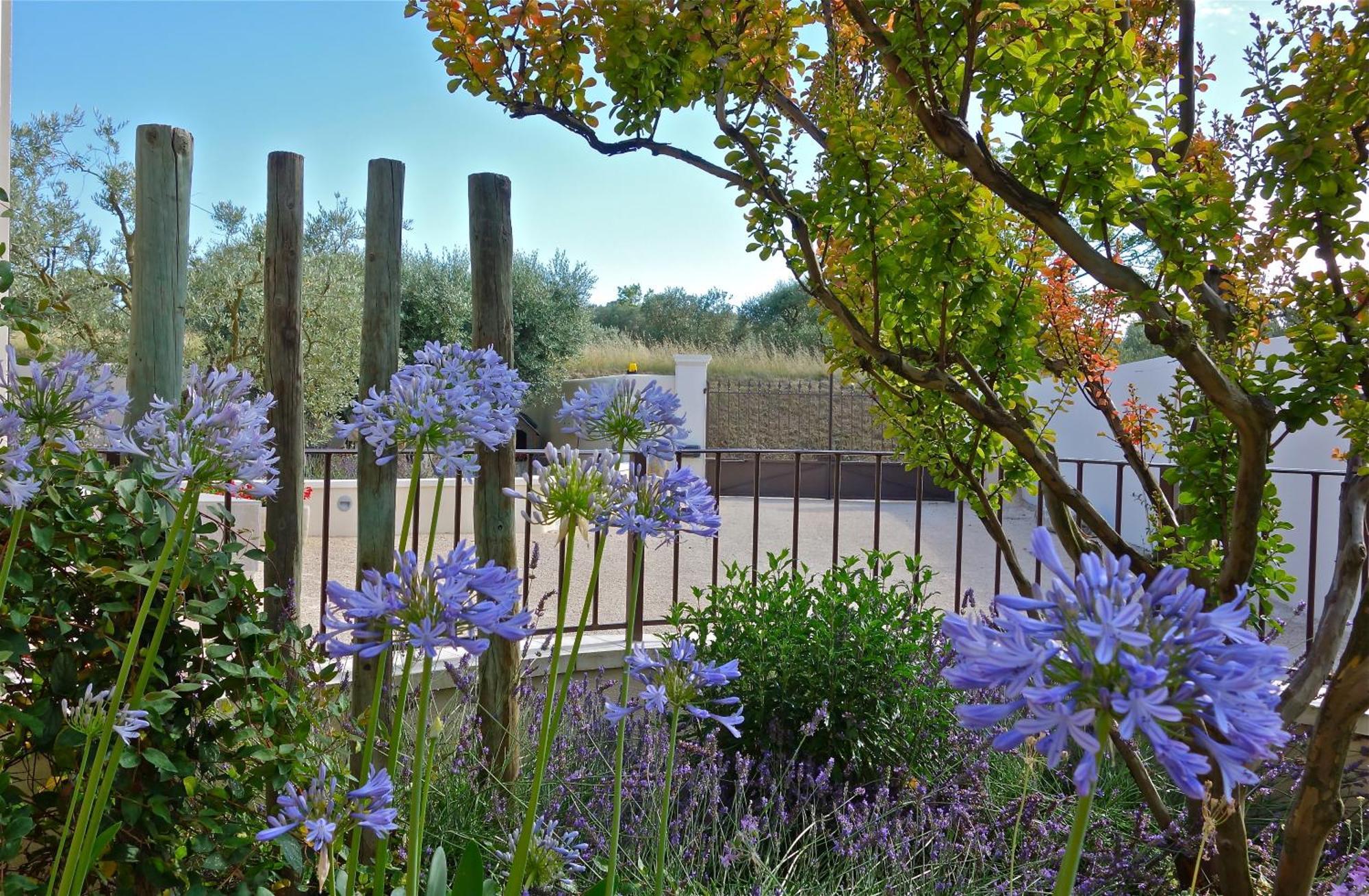 Les Lavandins-Gite Vincent Villa Saint-Remy-de-Provence Exterior photo