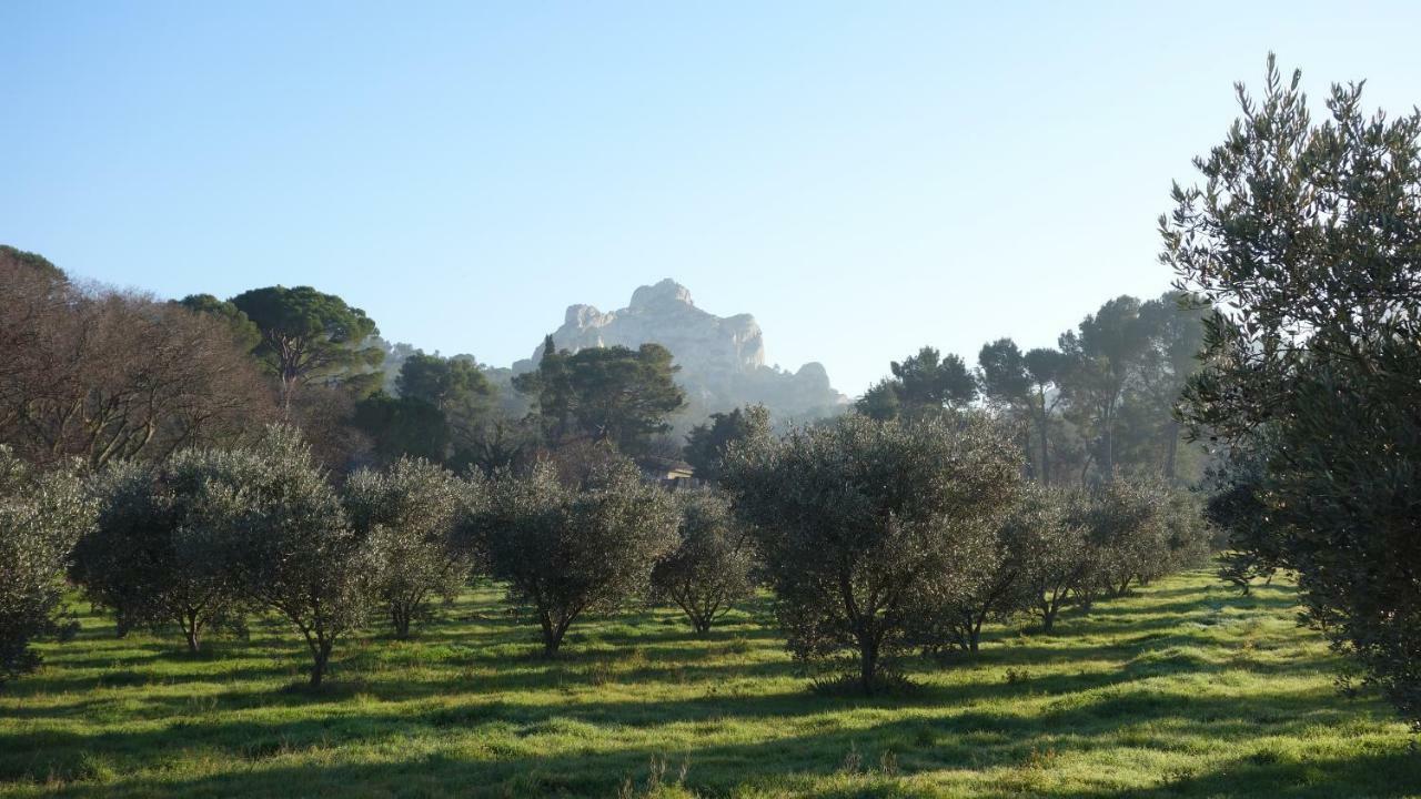 Les Lavandins-Gite Vincent Villa Saint-Remy-de-Provence Exterior photo